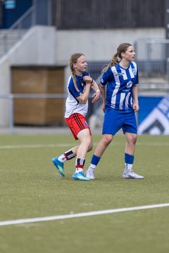 Bild 107 - wBJ Hamburger SV - FC Suederelbe : Ergebnis: 9:0